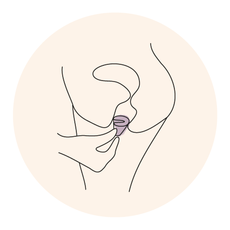 meno cup insertion